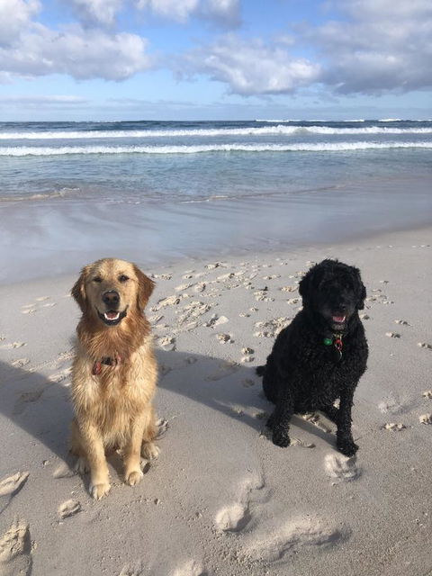 The Bothy Lancelin Family Retreat - Mackay Tourism 32