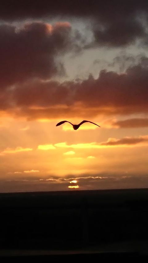 The Bothy Lancelin Family Retreat - Mackay Tourism 28
