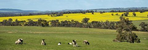 Kendenup Cottages And Lodge - Mackay Tourism 44