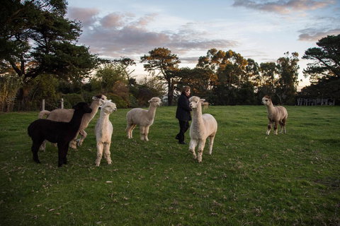 Celestine Retreat - Mackay Tourism 6