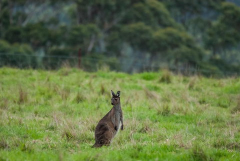 Celestine Retreat - Mackay Tourism 16