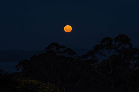 Celestine Retreat - Mackay Tourism 11