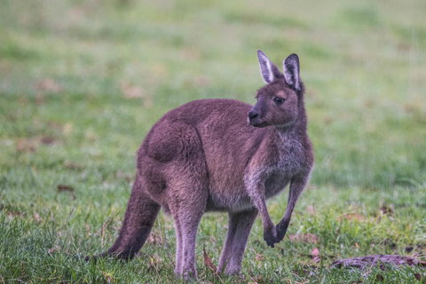 Celestine Retreat - Mackay Tourism 4