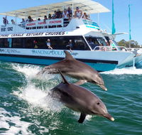 Belvedere Caravan Park - Mackay Tourism