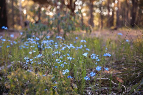 Amaroo Retreat & Spa - Mackay Tourism 15