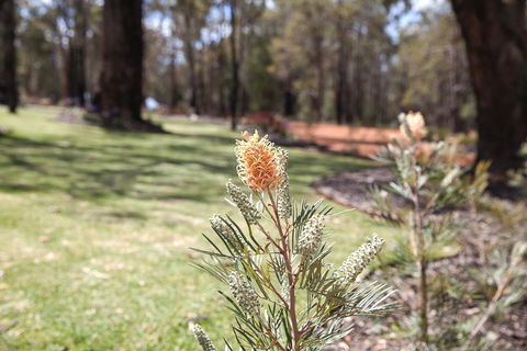 Amaroo Retreat & Spa - Mackay Tourism 19