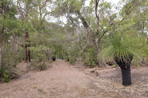 53 Martina Drive - Mackay Tourism 30