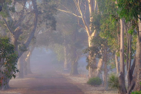 Seaview And Spa At Torbay - Mackay Tourism 2