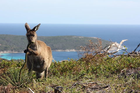 Bremer Bay B&B - Mackay Tourism 30