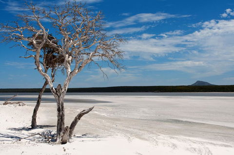 Bremer Bay B&B - Mackay Tourism 33