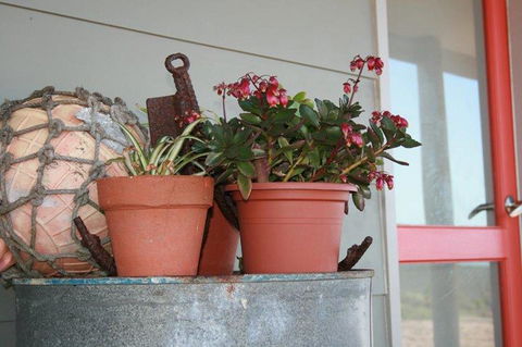 Bremer Bay B&B - Mackay Tourism 28