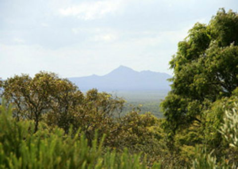 Bremer Bay B&B - Mackay Tourism 32