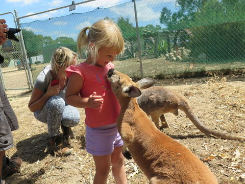 Jurien Beachfront Holiday Units - Mackay Tourism 36