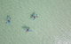 Lancelin Lodge - thumb 10
