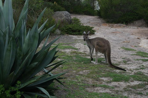 Aqua Views - Mackay Tourism 15