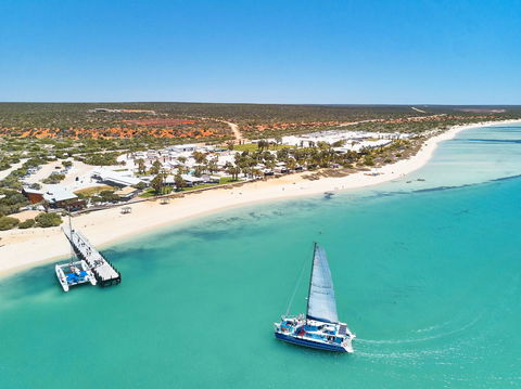 RAC Monkey Mia Dolphin Resort - Mackay Tourism 44