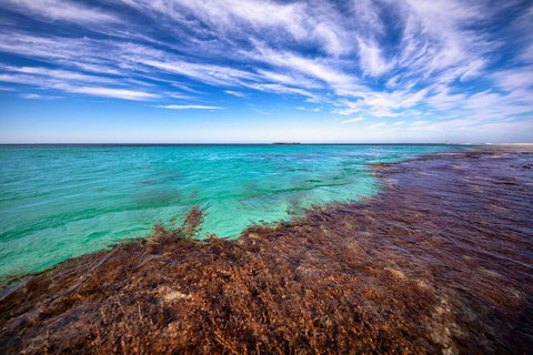 Discovery Resorts - Rottnest Island - Mackay Tourism 24