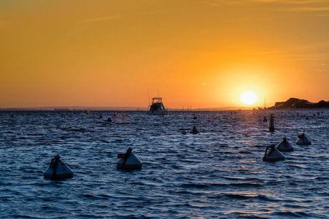 Discovery Resorts - Rottnest Island - Mackay Tourism 27