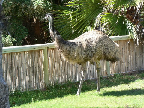 Wildsights Villas - Mackay Tourism 29