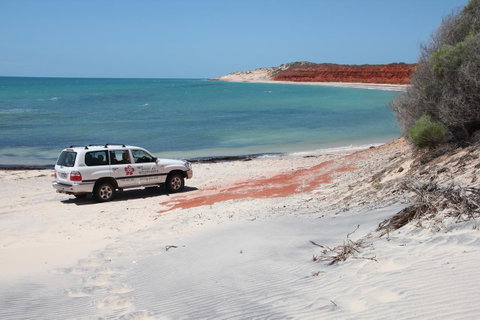 Wildsights Villas - Mackay Tourism 12