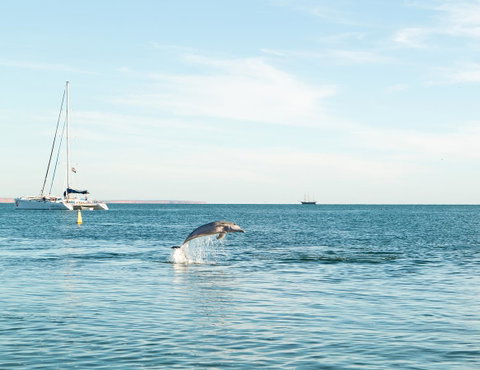 Wildsights Villas - Mackay Tourism 11