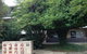 Townshend Rd - thumb 29