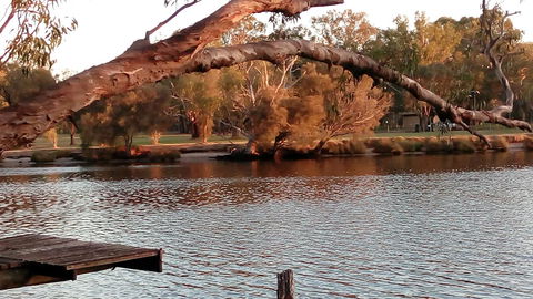 Ascot On Swan Bed & Breakfast - Mackay Tourism 9