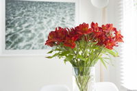 Book Kingston Beach Accommodation Vacations Mackay Tourism Mackay Tourism