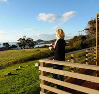 Beachend Bicheno - Mackay Tourism