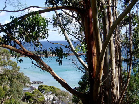 Seascape Beach House - Mackay Tourism 8