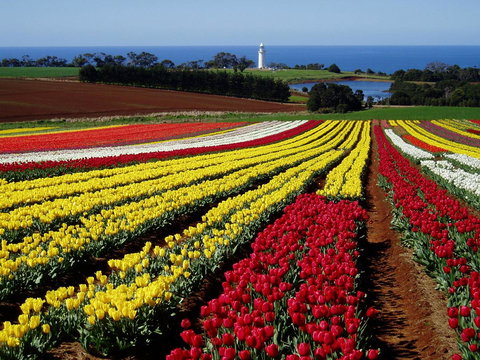 Seascape Beach House - Mackay Tourism 27