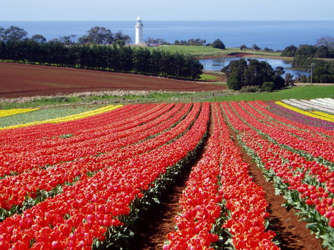 Seascape Beach House - Mackay Tourism 26