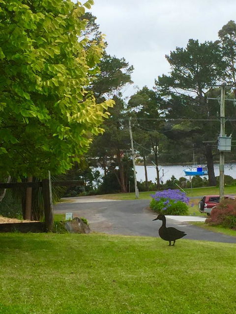 Wandering Geese Boutique Bed And Breakfast - Mackay Tourism 15