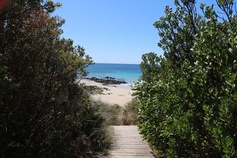 Sisters Beach Paradise - Mackay Tourism 12