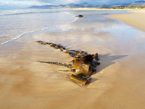 Blue Seas Holiday Villas - Mackay Tourism 11