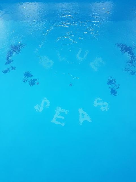 Blue Seas Holiday Villas - Mackay Tourism 2