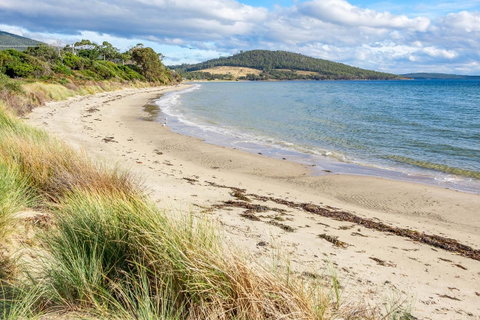 Omaroo Cottage Bruny Island - Mackay Tourism 14