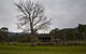 Tyenna River Cottages - thumb 23