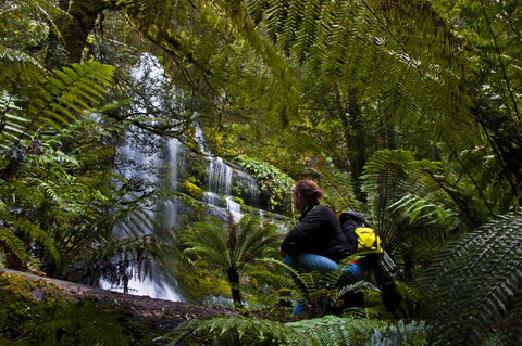 Tyenna River Cottages - Mackay Tourism 3