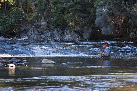 Tyenna River Cottages - Mackay Tourism 21