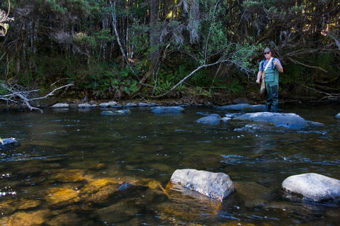 Tyenna River Cottages - Mackay Tourism 2