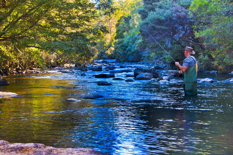 Tyenna River Cottages - Mackay Tourism 22
