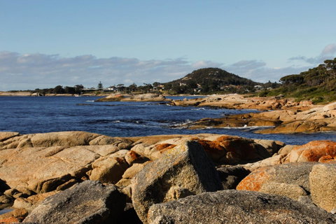 Mermaids Of Bicheno - Mackay Tourism 15