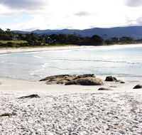 Mermaids of Bicheno - Mackay Tourism