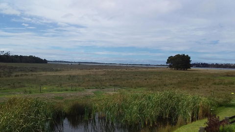 Pelican Point Sanctuary - Mackay Tourism 21