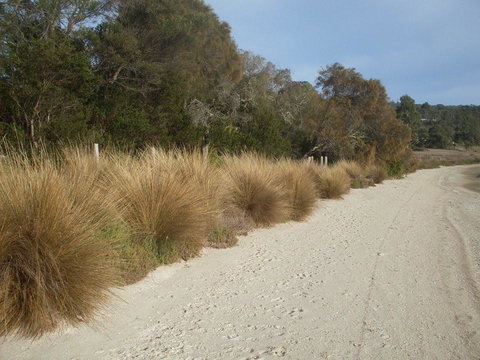 Pipe Clay Cottage - Mackay Tourism 38