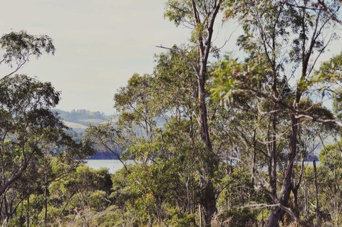 Oyster Cove Chalet - Mackay Tourism 17