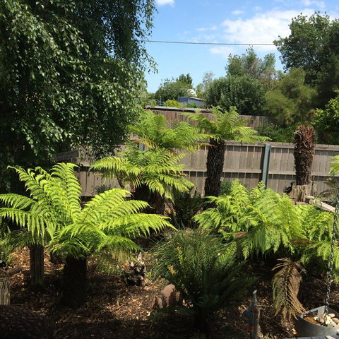 Pinestumps Holiday Home - Mackay Tourism 14