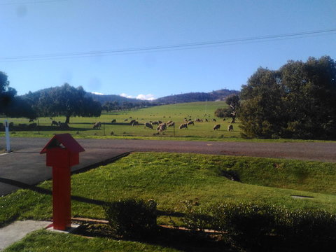 Pinestumps Holiday Home - Mackay Tourism 11