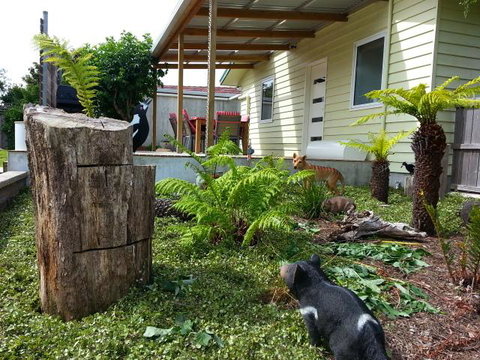 Pinestumps Holiday Home - Mackay Tourism 12